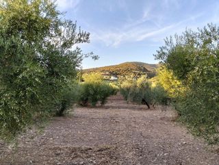 Terreno en venta en Villamartín