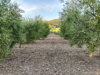 Terreno en venta en Villamartín
