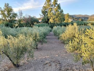 Terreno en venta en Villamartín