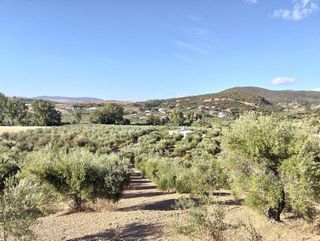 Terreno en venta en Villamartín