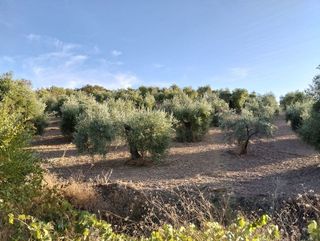 Terreno en venta en Villamartín