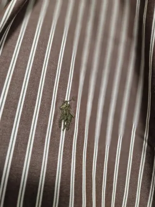 Camisa Polo Ralph Lauren XL Rayas Marrón/Blanco