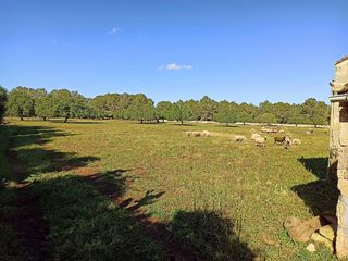 Casa rural en venta en Porreres