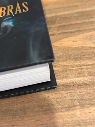 Príncipe mecánico. Cazadores de sombras. Los or...