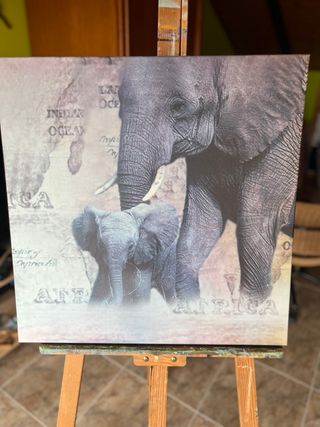 Cuadro Lienzo Elefantes África