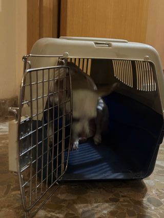 Transportín Perro/Gato Beige y Azul