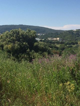 Solar en venta en Sotogrande Alto en San Roque