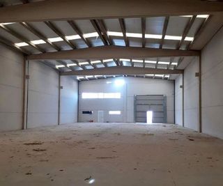 Nave industrial en venta en Muela (La)