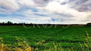 Terreno en venta en Vergel - Las Olivas en Aranjuez