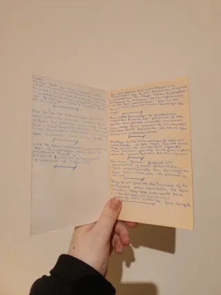 Libro Chistes de Tacaños