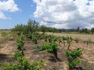 Terreno en venta en Porreres