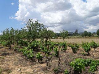Terreno en venta en Porreres