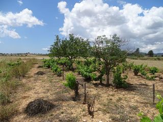 Terreno en venta en Porreres