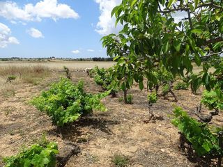 Terreno en venta en Porreres