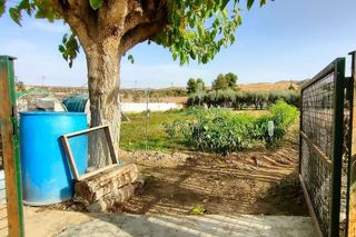 Terreno en venta en Caspe