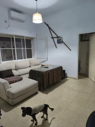 Pintura SOTOPINTURA DECORACIÓN  Pintores