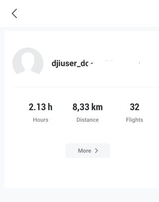 DJI Mini SE Fly More Combo
