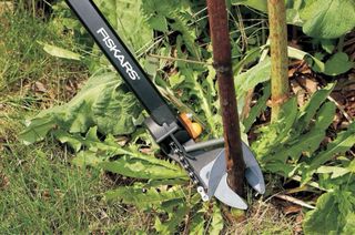 Tijera Telescópica Fiskars para Fruta