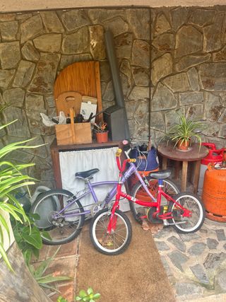 Bicicletas infantiles (niño/a)