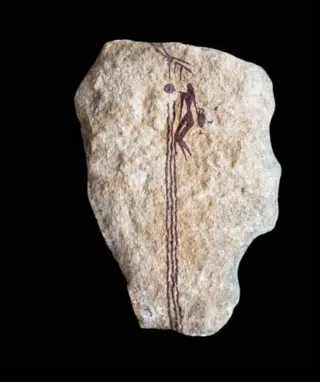 Reproducción Pintura Rupestre Recolectora