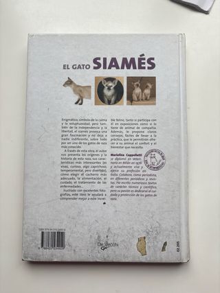 lote 4 libros de gatos