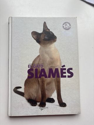 lote 4 libros de gatos