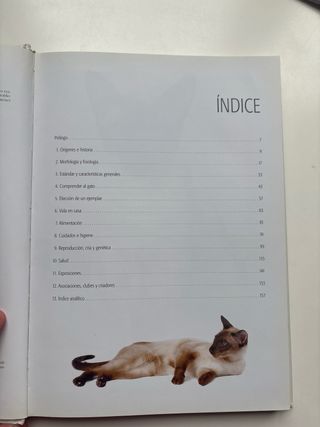 lote 4 libros de gatos