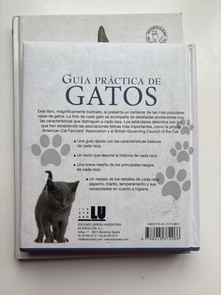 lote 4 libros de gatos