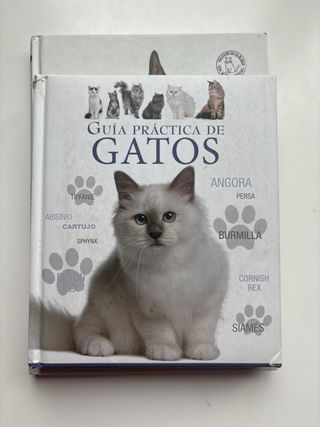 lote 4 libros de gatos
