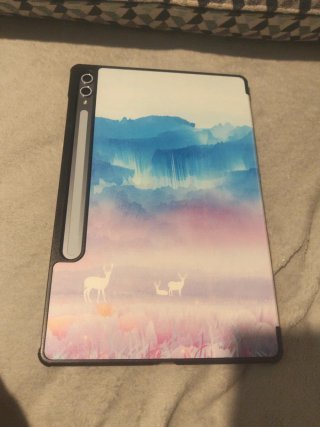 Samsung Galaxy Tab S10+ Gris/Plata