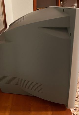 Televisor Philips 29 Plata en perfecto estado