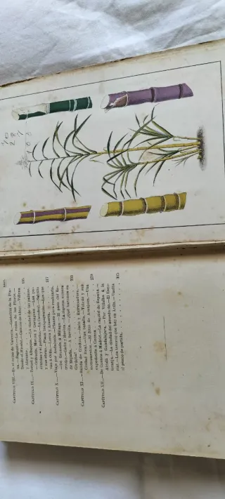 Libro Antiguo Un Viaje por España