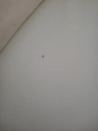 Mesa de comedor blanca y madera