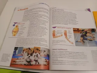 Team up. Con Atlante interdisciplinare. Per la ...