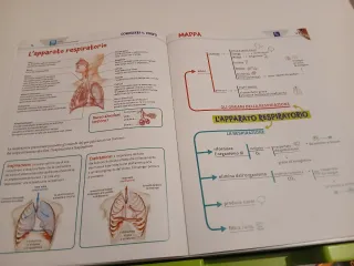 Team up. Con Atlante interdisciplinare. Per la ...