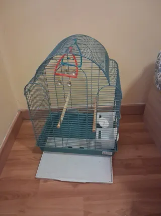 Jaula para pájaros color turquesa