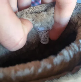 Botas UGG Antílope de ante