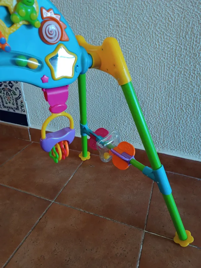 Gimnasio Bebé Bruin