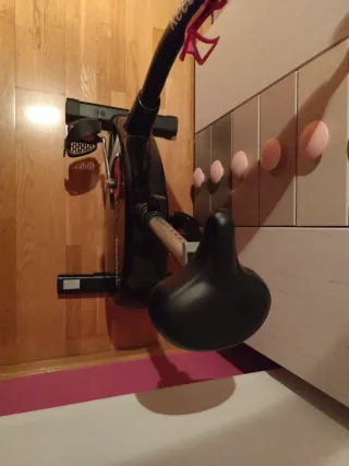 Bicicleta Estática Reebok One GB40s