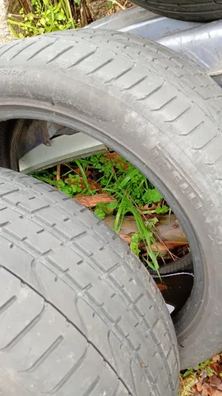 Neumáticos de coche