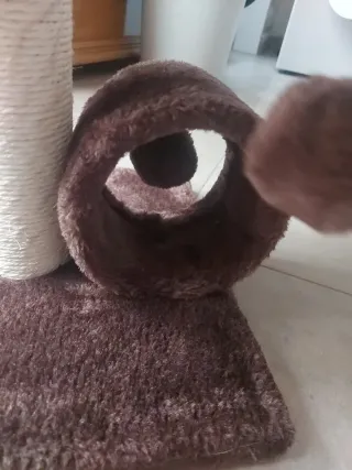 Rascador y casita para gatos