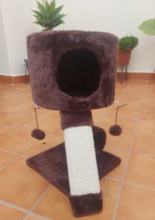 Rascador y casita para gatos