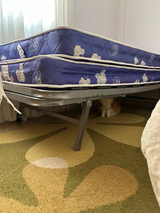 Cama individual 200x90 (2 unidades)