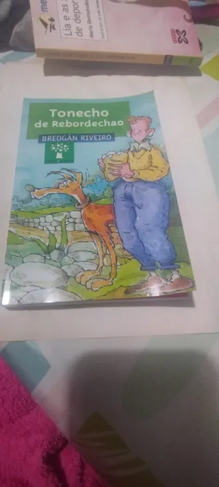 Tonecho de Rebordechao