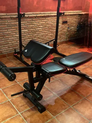 Gimnasio. Banco de pesas con barra y discos