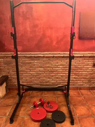Gimnasio. Banco de pesas con barra y discos