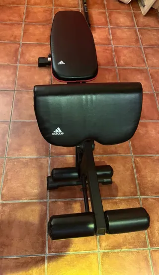 Gimnasio. Banco de pesas con barra y discos