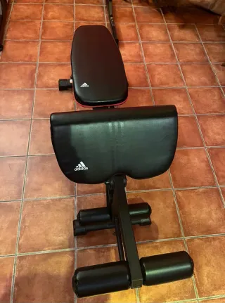 Gimnasio. Banco de pesas con barra y discos