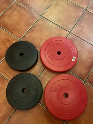 Gimnasio. Banco de pesas con barra y discos