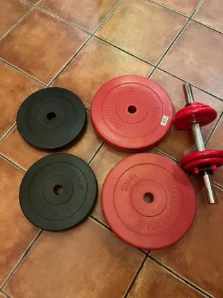 Gimnasio. Banco de pesas con barra y discos